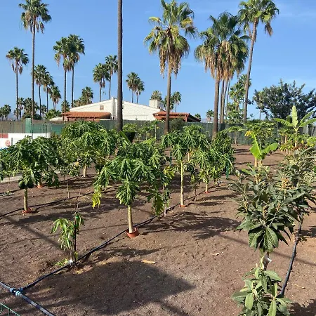 La Casita De Alejandra דירה